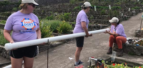 Greenify our office and pergola