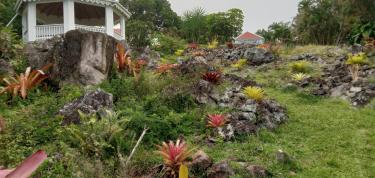 Beautification & Safer passage Upper Grounds