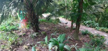 Restoration Dry Wall & Erect Fencing and Planting