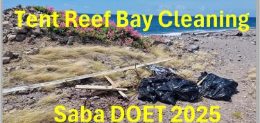 Clean Tent Reef Bay and Road